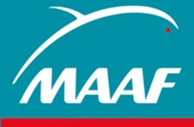MAAF